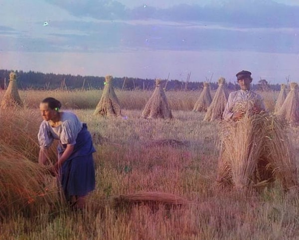 5. Крестьяне