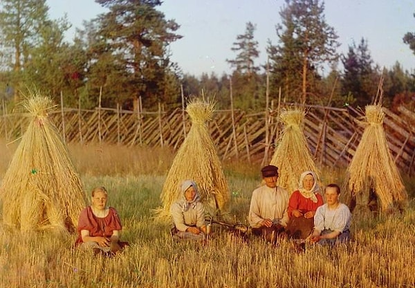 14. Сборка урожая