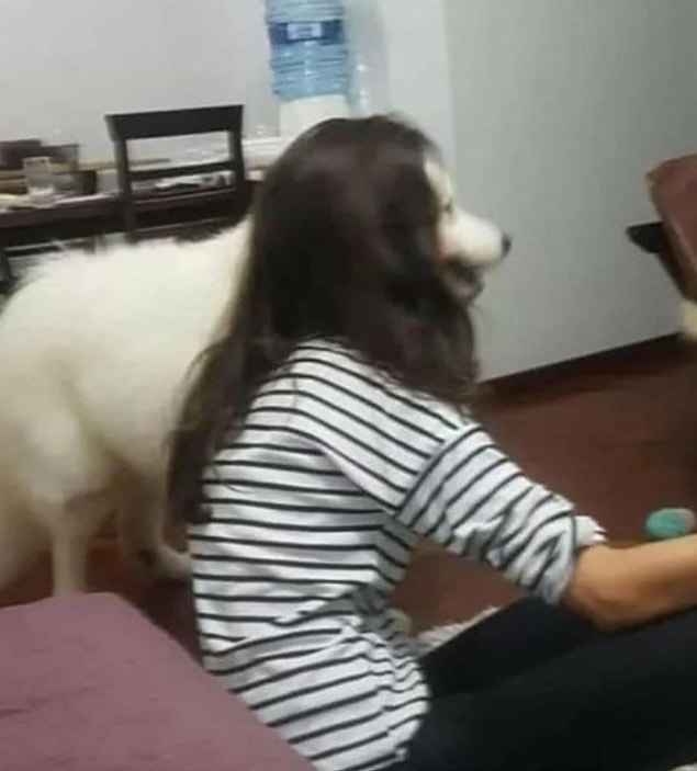 16. "O sırada Antik Mısır Tanrıları:"