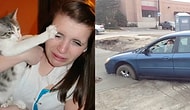 Gördüğünüz Anda Hem Güldürecek Hem de Suçlu Hissettirecek 18 Trajikomik Fotoğraf