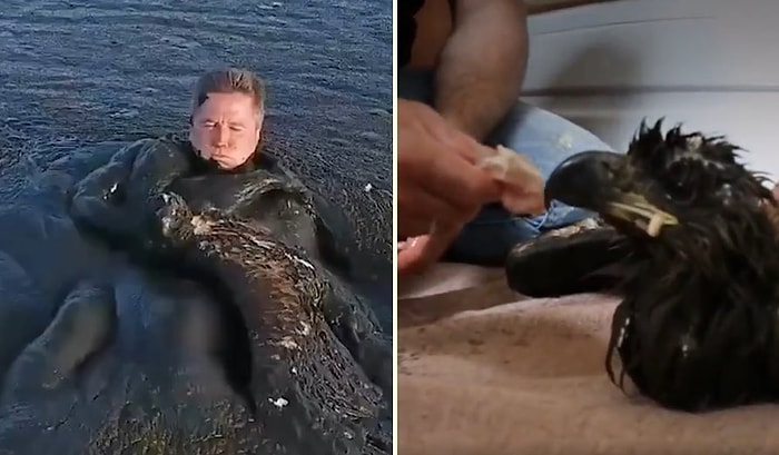 Çamura Saplanan Kartalı Kurtararak İyileştiren Mükemmel İnsan