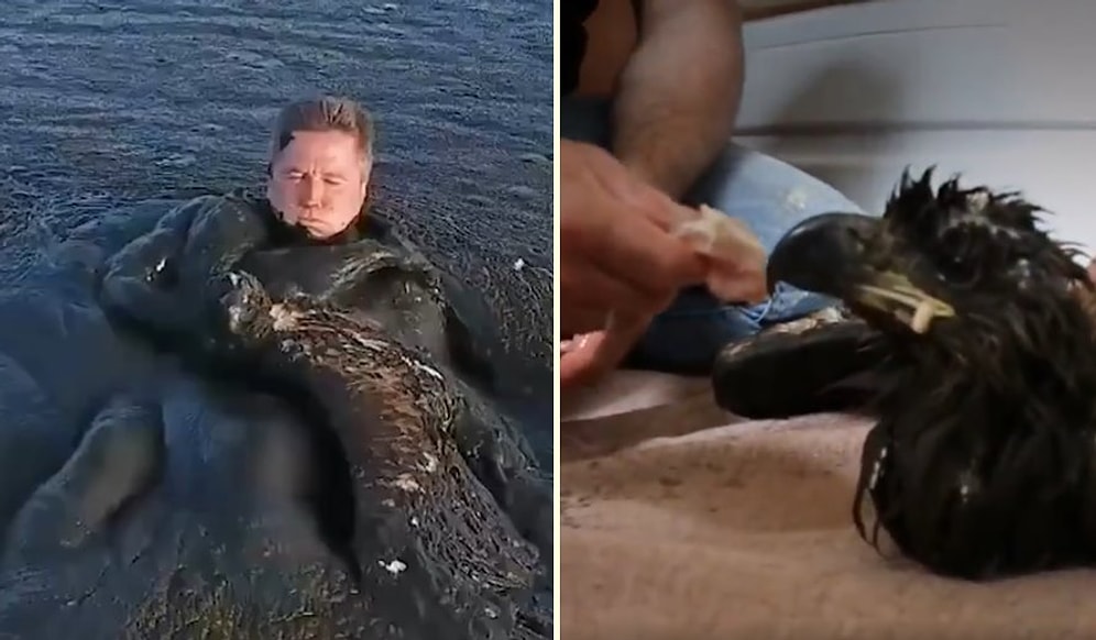 Çamura Saplanan Kartalı Kurtararak İyileştiren Mükemmel İnsan