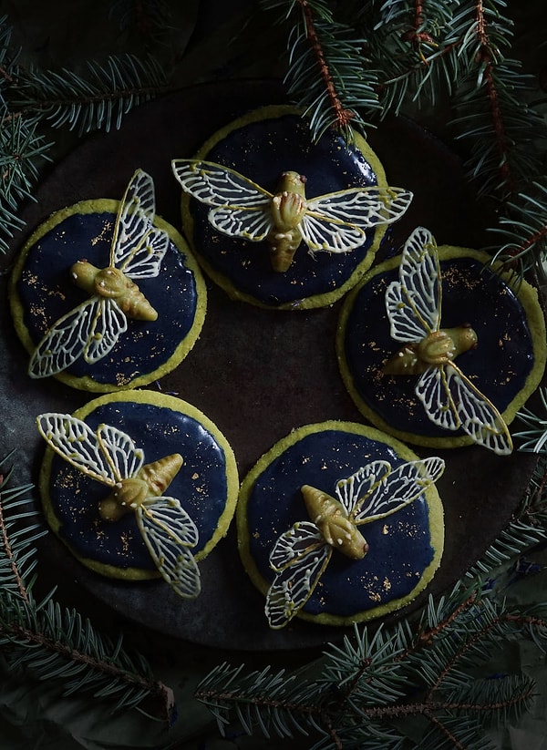 18. Цикады и лазурит