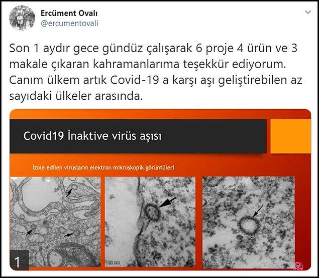 "Türkiye Covid-19'a karşı aşı geliştirebilen az sayıdaki ülkeler arasında"