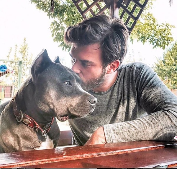 6. Кыванч Татлытуг