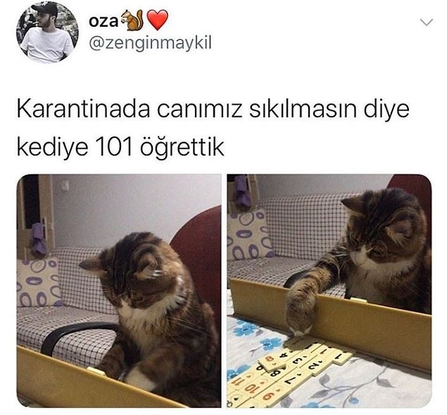 14. Mantıklı bir hareket...