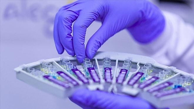Bilim Kurulu Üyesi Prof. Ateş Kara: 'Aşı Yapılan Şebekler Virüse Yakalanmadı'