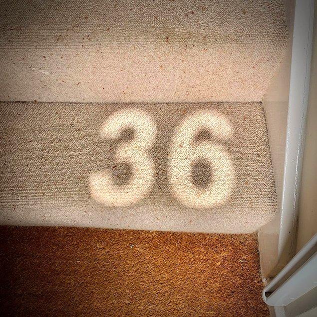 9. "Yılın bu zamanında güneşli bir günde kapı numaram, kapımdaki camdan evimin merdivenlerine yansıyor."