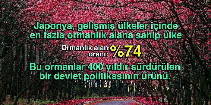 Dünya Algınızı Lastik Gibi Sündürüp Ufkunuzu 15 Kat Genişletecek 15 Olay