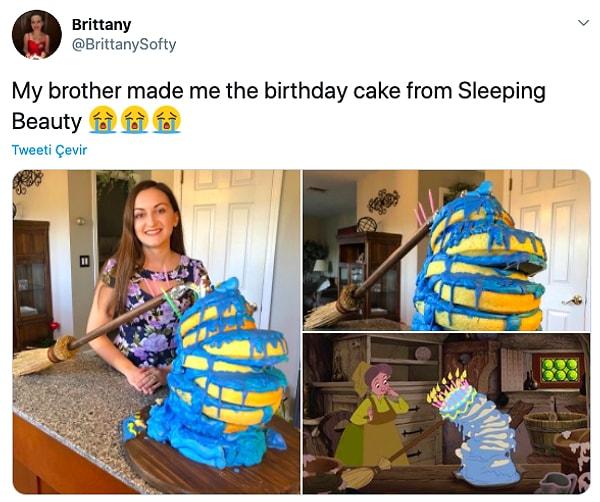 14. "Erkek kardeşim bana bu Uyuyan Güzel'deki pastadan yapmış."