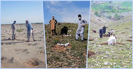 63 тысячи пакистанцев, оставшихся безработными из-за вспышки КОВИД-19, были наняты Правительством Пакистана для посадки 10 миллиардов деревьев