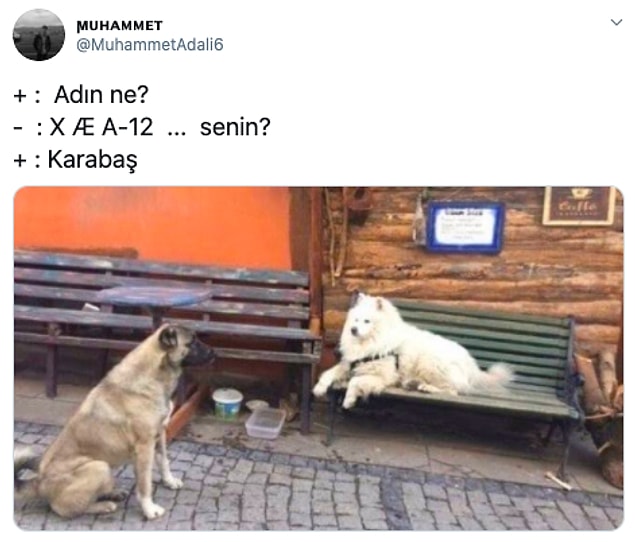 👇