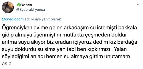 Yalanları Açığa Çıktıktan Sonra Yerin Dibine Giren Kişilerin Bu Trajikomik Hikayelerine Çok Güleceğiniz Kesin