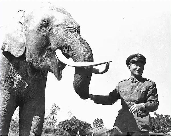 5. 86 yıl yaşamış fil, Lin Wang.