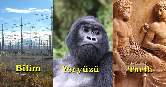 Hap Gibi İlginç Bilgileri Türkçe Almak İsteyenlerin Takip Etmesi Gereken 15 Instagram Hesabı