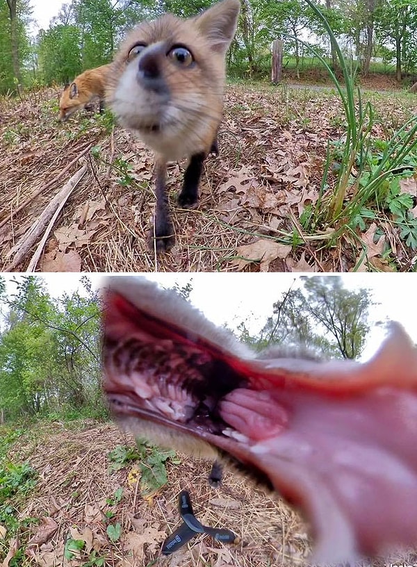 18. Вкустняяяятина