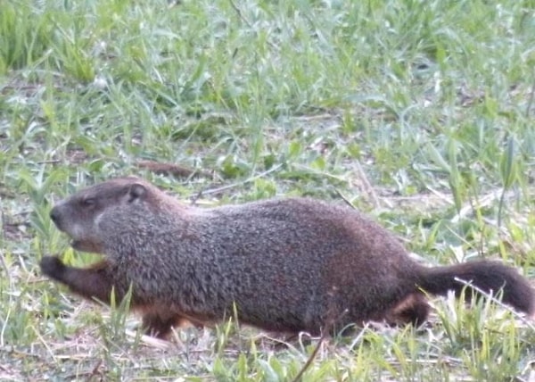 21. Он точно на что-то зол