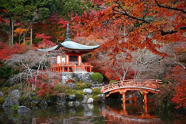 4. Daigoji Tapınağı Bahçesi, Kyoto