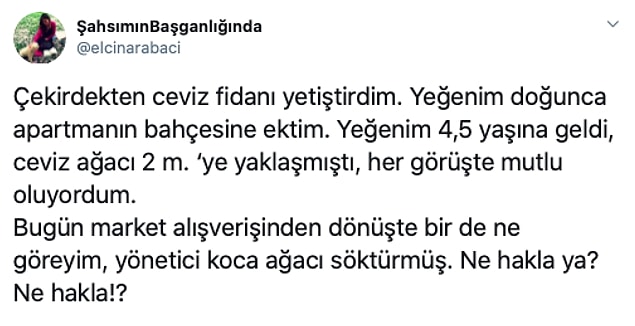 Twitter'da '@elcinarabaci' takipçileriyle başına gelen acı bir olayı paylaştı.