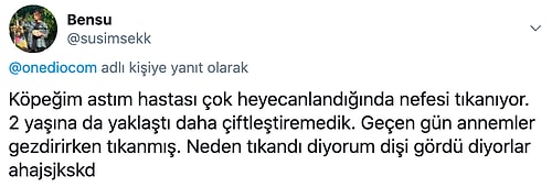 Evcil Hayvanlarıyla Yaşadıkları İlginç Anıları Bizimle Paylaşarak Hepimizi Eğlenceli İlişkilerine Tanık Eden Kişiler