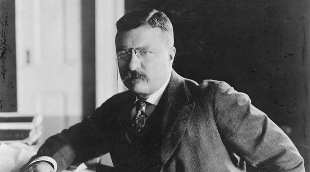5. Theodore Roosevelt