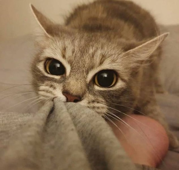 4. «Я встаю, значит, и ты встаешь!»