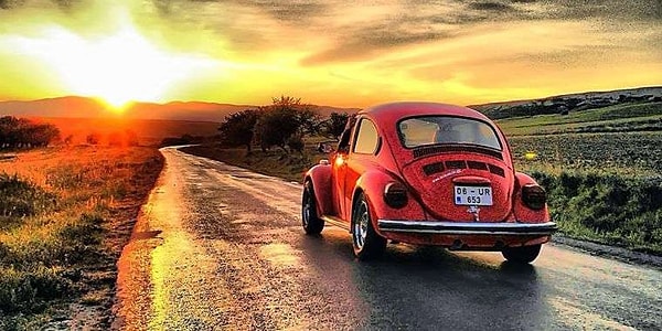 Отправляйтесь в путешествие!