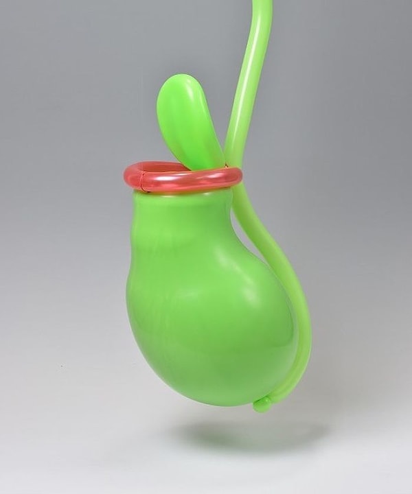 19. Насекомоядное растение