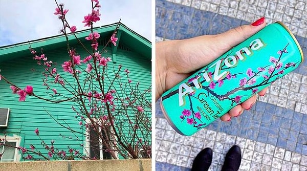 6. Дом, который напоминает банку от чая "Аризона"