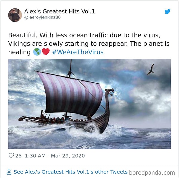 5. Красота! Так как, во время карантина, трафик в океане стал меньше, Викинги стали по немного возвращаться. Планета исцеляется!