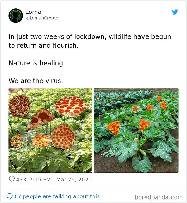 22. Всего после двух недель карантина, природа начала расцветать