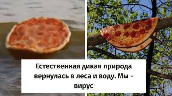 Земля исцеляется! 27 забавных постов о восстановлении природы, пока все люди находятся на самоизоляции