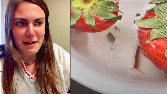 Derin Bir Oh Çekebiliriz: Çileklerin Tuzlu Suya Yatırılınca İçinden Böcek ve Kurt Çıkan Videosu Sahte Çıktı!