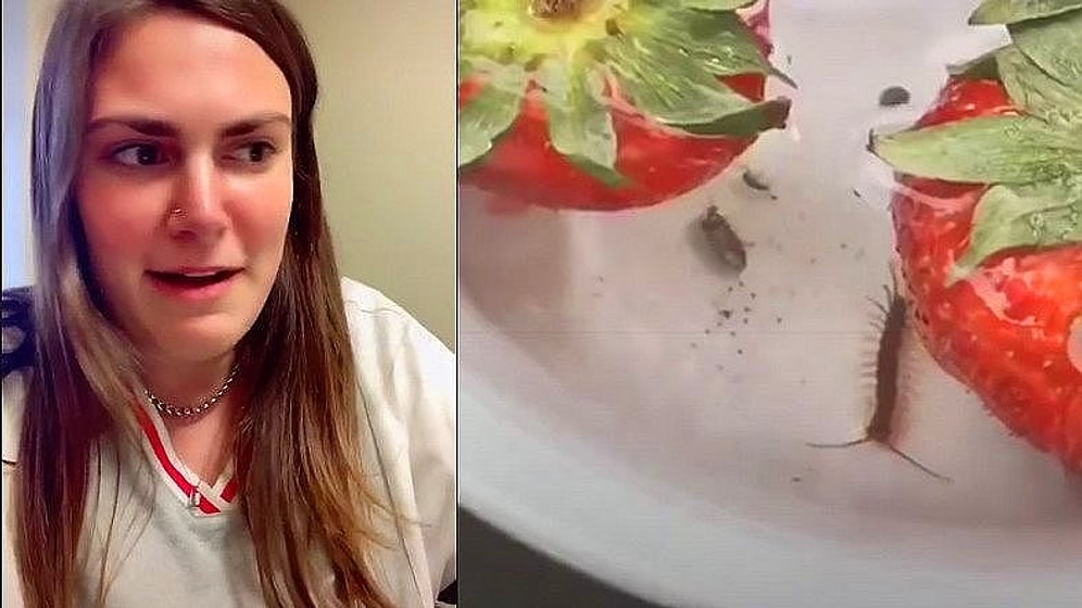 Derin Bir Oh Çekebiliriz: Çileklerin Tuzlu Suya Yatırılınca İçinden Böcek ve Kurt Çıkan Videosu Sahte Çıktı!