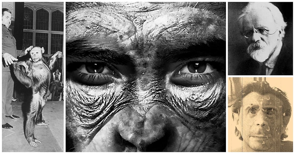 İnsan-Maymun Melezi Yaratmak İçin Etikten Yoksun Araştırmalar Gerçekleştiren Bilim İnsanı: İlya İvanoviç İvanov