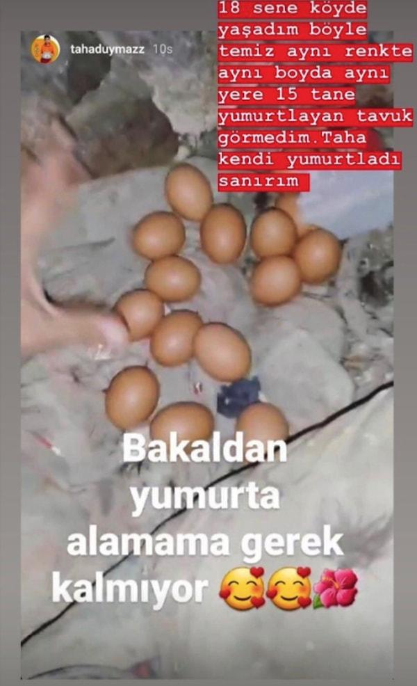 Ancak son zamanlarda Taha'nın paylaşımlarıyla ilgili çeşitli spekülasyonlar dolaşmaya başladı sosyal medyada. Mesela bu yumurtalar bakkaldan mı alınıyordu aslında?