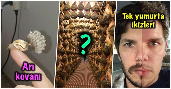 Bu Haftalık Bu Kadar İnternet Yeter: Şaşırma Kotanızı Ağzına Kadar Dolduracak 17 Yeni Görsel