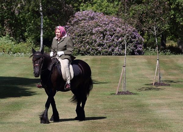 Atlara tutkusuyla tanınan 94 yaşındaki Kraliçe 2. Elizabeth aynı zamanda safkan yarış atı yetiştiricisi...