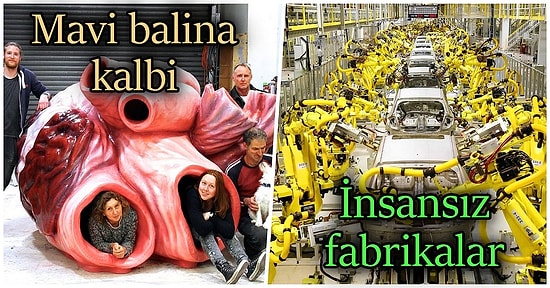 Acayip Bilgiler Kuşağı: Muhtemelen Daha Önce Duymadığınız Dertsiz Başa Dert Ekleyen 15 İlginç Gerçek