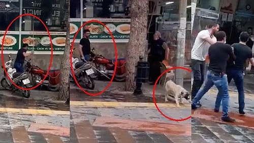 Elindeki Fırça Sopasıyla Vicdansızca Köpek Döven Kişi Tepki Gösteren Esnafa da Bıçak Çekti