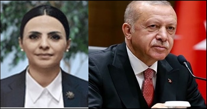 Cumhurbaşkanlığı Başdanışmanlığı'na Atanan Meltem Taylan Aydın Kimdir?