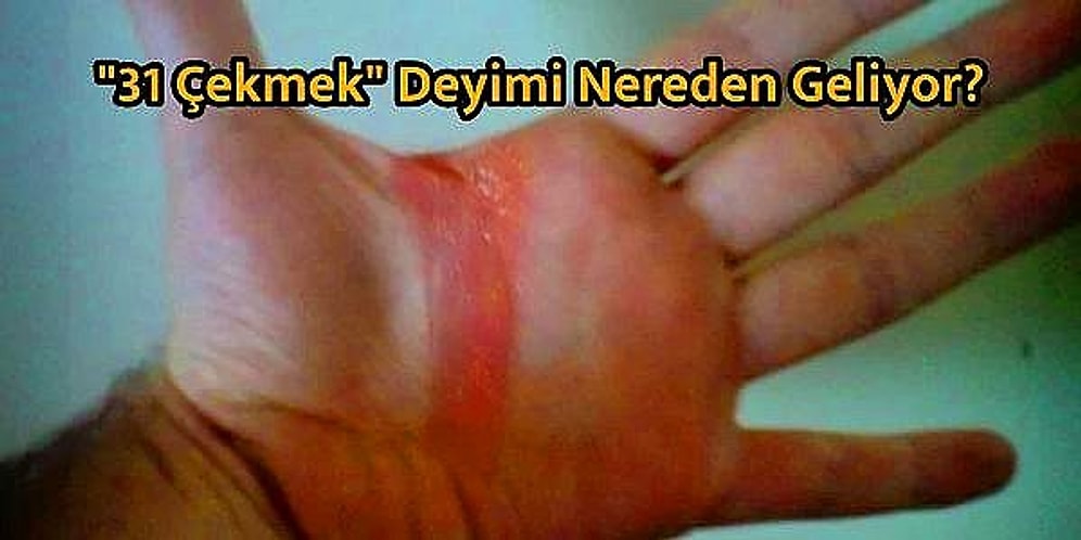 Pas Tutmuş Zihinlerde Dev Bir Aydınlanma Yaşatacak 12 Bilimsel Soru-Cevap