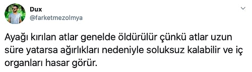 Havalı Fotoğrafını 'Bilmediğim Bir Şey Söyle' Diyerek Paylaşan Kadına Türklerden Gelen Altın Değerinde Bilgiler