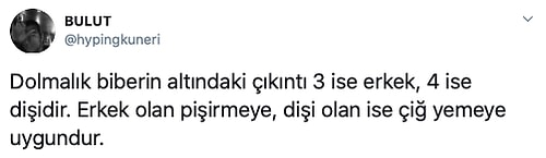 Havalı Fotoğrafını 'Bilmediğim Bir Şey Söyle' Diyerek Paylaşan Kadına Türklerden Gelen Altın Değerinde Bilgiler