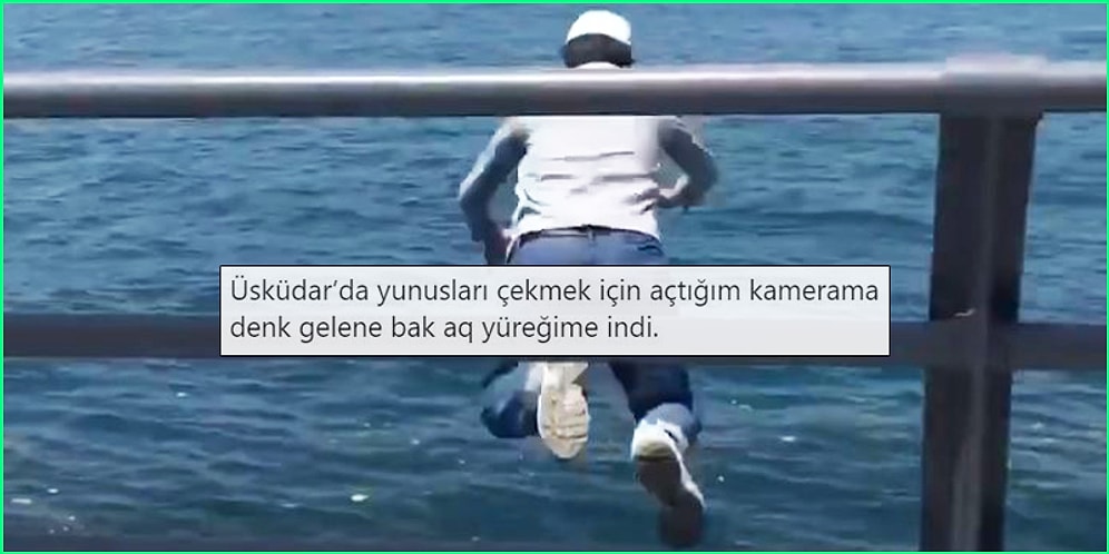 Günlük Hayatta Karşılaştıkları Olaylar ve Manzaralarla Yüzünüzü Güldürecek 15 Kişi