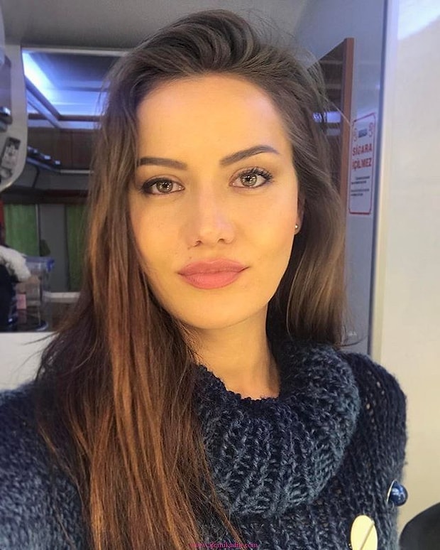 Fahriye Evcen