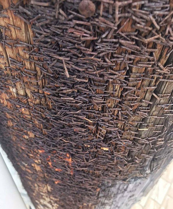 15. Вот что случилось со столбом, где в течение нескольких десятилетий вешали объявления.