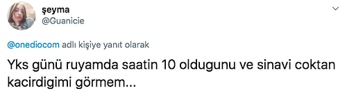 Korkudan Neredeyse Altına Kaçırdıkları Anları Bizimle Paylaşırken Hem Güldüren Hem Hüzünlediren 19 Takipçimiz