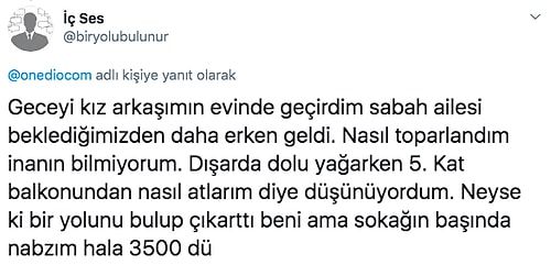 Korkudan Neredeyse Altına Kaçırdıkları Anları Bizimle Paylaşırken Hem Güldüren Hem Hüzünlediren 19 Takipçimiz