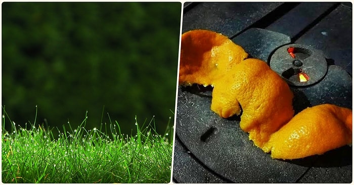 Zamanda Yolculuk Yapmanın En Kolay Yolu! Sizi Bulunduğunuz Anın Dışında Bambaşka Zamanlara Götüren 15 Koku